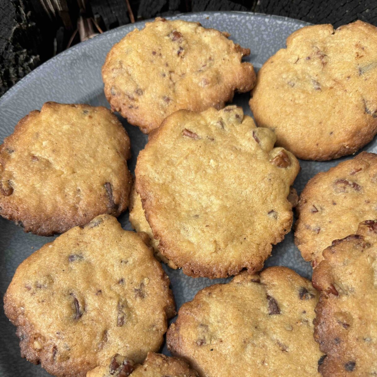 Crispy chocolate chip cookies.