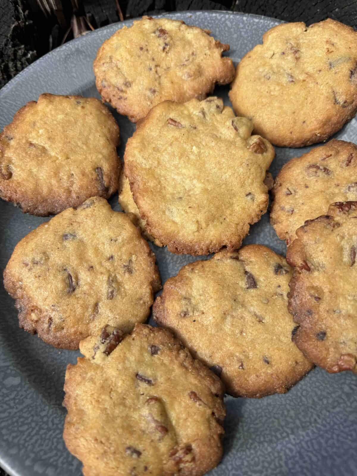 thin and crispy chocolate chip cookies on a plate