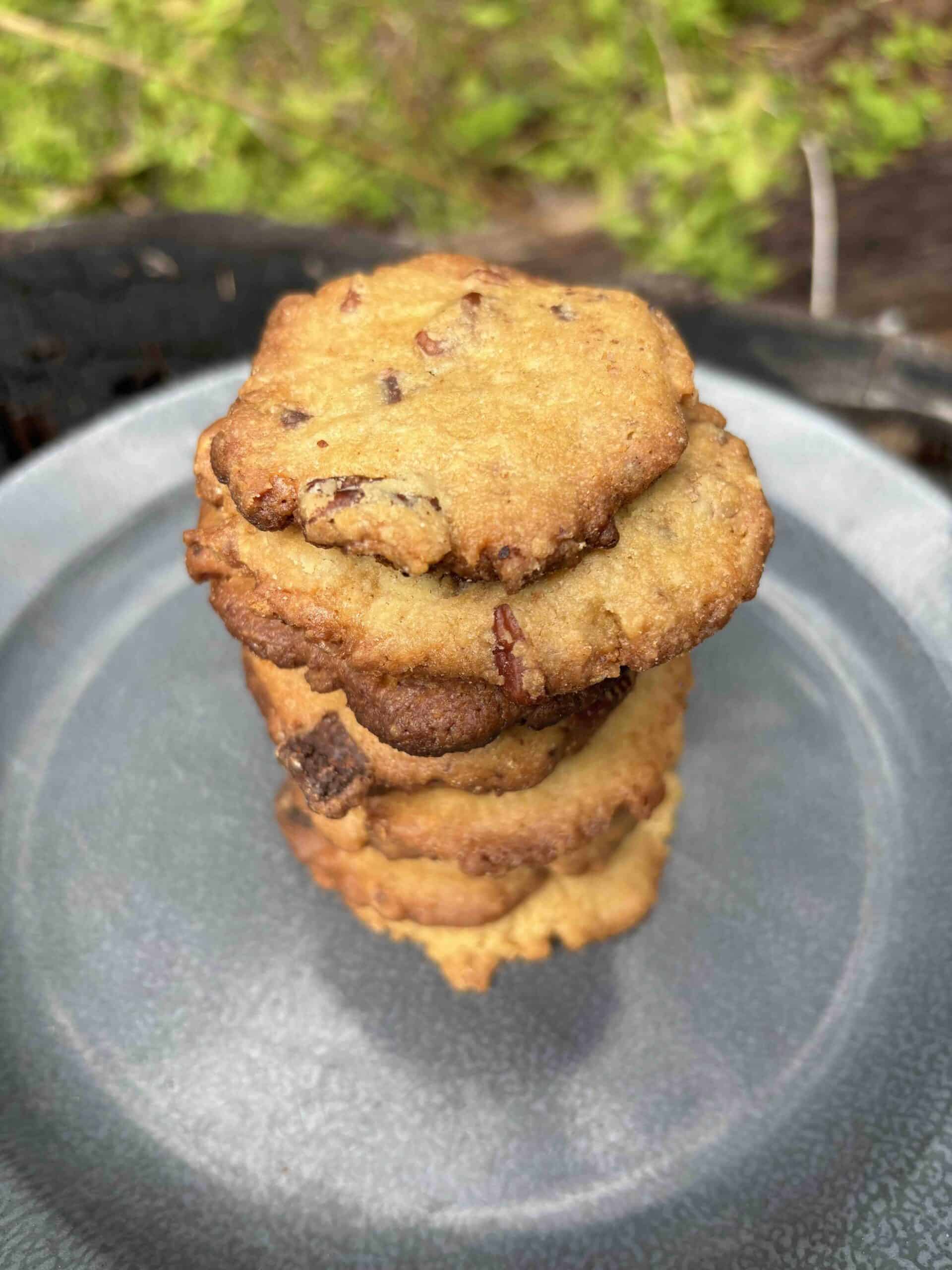 Stack of crispy chocolate chip cookies.