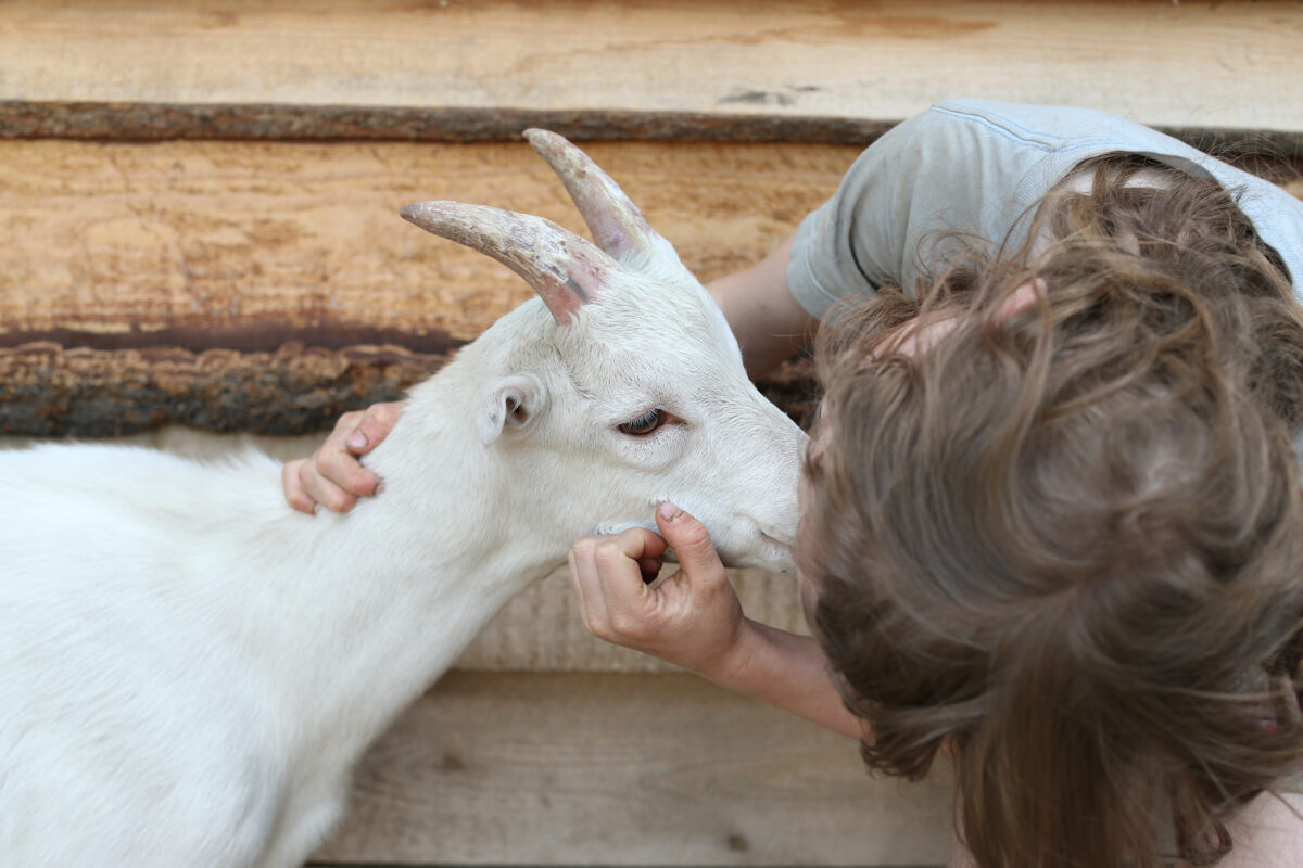 Child with baby goat.